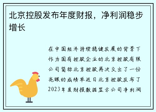 北京控股发布年度财报，净利润稳步增长